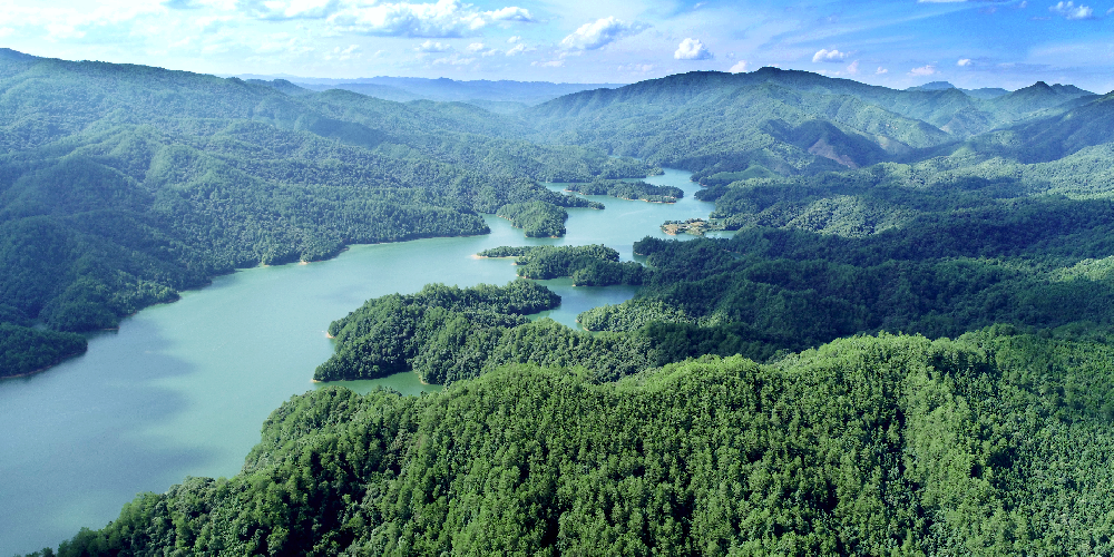 首个全国生态日 | 学“两山”理念 绘生态画卷