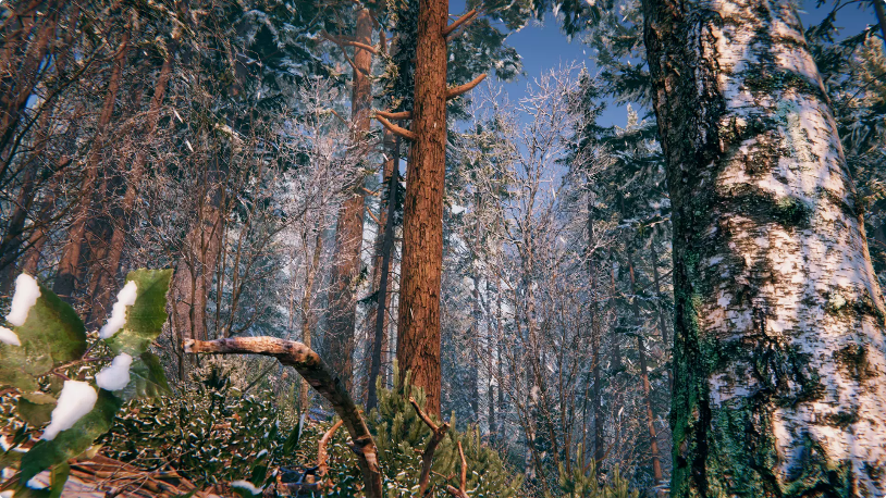 Screenshot_2020-11-10 Winter Forest Environment 3D 环境 Unity Asset Store(3).png